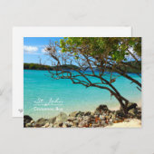 St. John USVI Cinnamon Bay Beach Briefkaart (Voorkant / Achterkant)