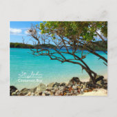 St. John USVI Cinnamon Bay Beach Briefkaart (Voorkant)