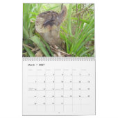 St. John, USVI Kalender (Mar 2027)