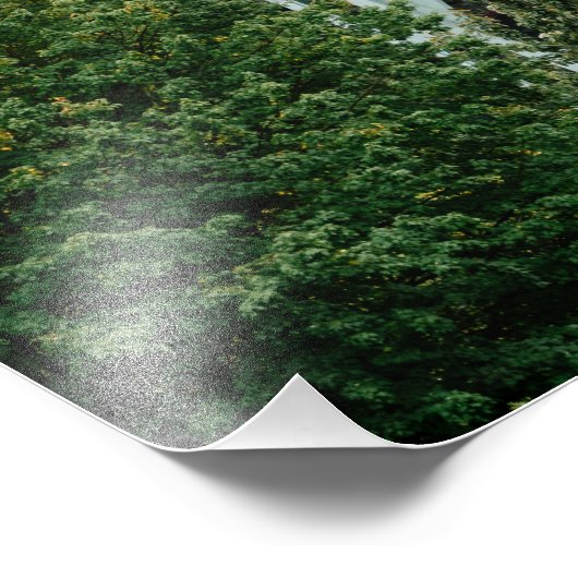 St. John's Bridge Foto Afdruk (Hoek)