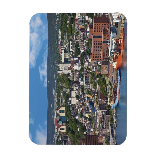 St. John's, Newfoundland, Canada, de kustlijn Magneet (Verticaal)