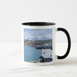 St. John's, Newfoundland, Canada, de waterkant Mok