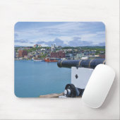 St. John's, Newfoundland, Canada, de waterkant Muismat (Met muis)