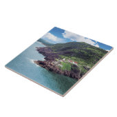 St. John's, Newfoundland, Canada, historische have Tegeltje (Zijkant)