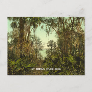 St. Johns River Florida 1898 Foto Briefkaart