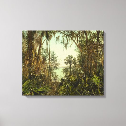 St. Johns River Florida 1898 Foto Canvas Afdruk (Voorkant)