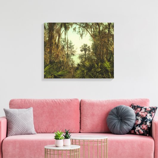 St. Johns River Florida 1898 Foto Canvas Afdruk (Insitu (Woonkamer))