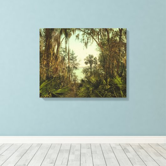 St. Johns River Florida 1898 Foto Canvas Afdruk (Insitu (Houten vloer))
