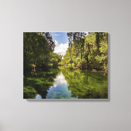 St Johns River Florida Reflections Canvas Afdruk (Voorkant)