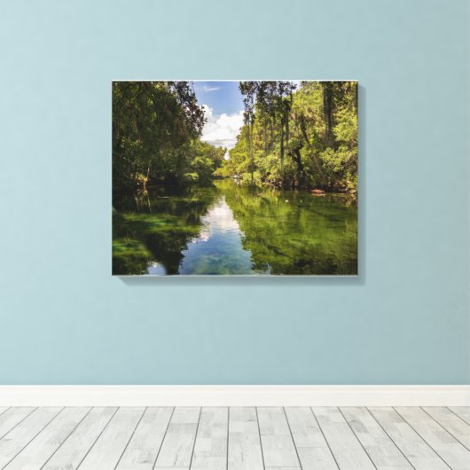 St Johns River Florida Reflections Canvas Afdruk (Insitu (Houten vloer))