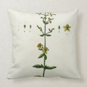 St. John's Wort, bord 15 uit 'A Curious Herbal', Kussen