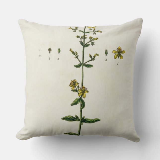 St. John's Wort, bord 15 uit 'A Curious Herbal', Kussen (Voorkant)