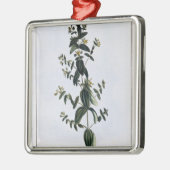 St. John's Wort, bord 62, van 'Collectie Precie' Metalen Ornament (Links)