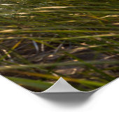 St Joseph Behind Zee Oats Poster (Hoek)