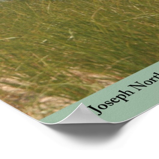 St. Joseph Lighthouse - Michigan Poster (Hoek)