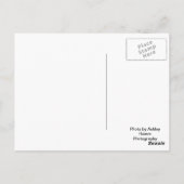 St. Louis Arch Briefkaart (Achterkant)