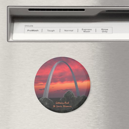 St. Louis Arch Magneet (Insitu (Vaatwasser))