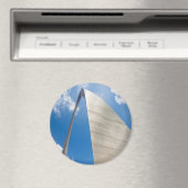 St. Louis Arch Magneet (Insitu (Vaatwasser))