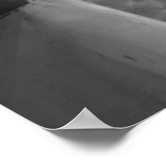 St. Louis B&W Poster (Hoek)