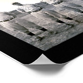 St. Louis Cardinals Foto 1909 Poster (Hoek)