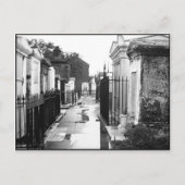 St. Louis Cemetery No. 1 Briefkaart (Voorkant)