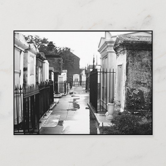 St. Louis Cemetery No. 1 Briefkaart (Voorkant)