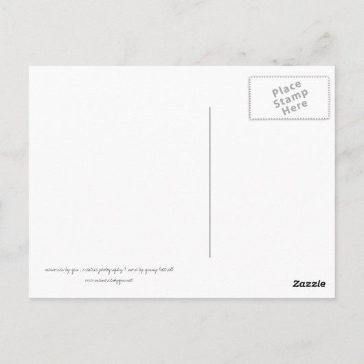 ST LOUIS - Gateway to West Briefkaart (Achterkant)