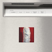 St. Louis Magneet (Insitu (Vaatwasser))