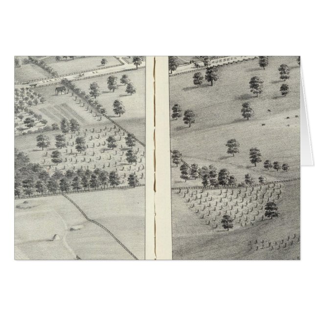 St. Louis, Missouri 24 (Voorkant Horizontaal)