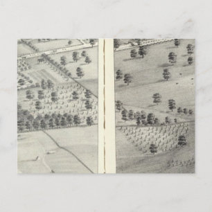 St. Louis, Missouri 24 Briefkaart