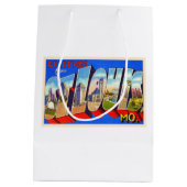 St. Louis Missouri  groot Briefkaart Medium Cadeauzakje (Achterkant)