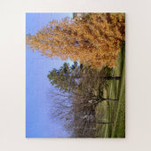 St. Louis, MO Clifton Park Herfst Trees Puzzle Legpuzzel (Verticaal)