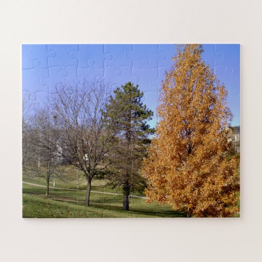 St. Louis, MO Clifton Park Herfst Trees Puzzle Legpuzzel (Horizontaal)