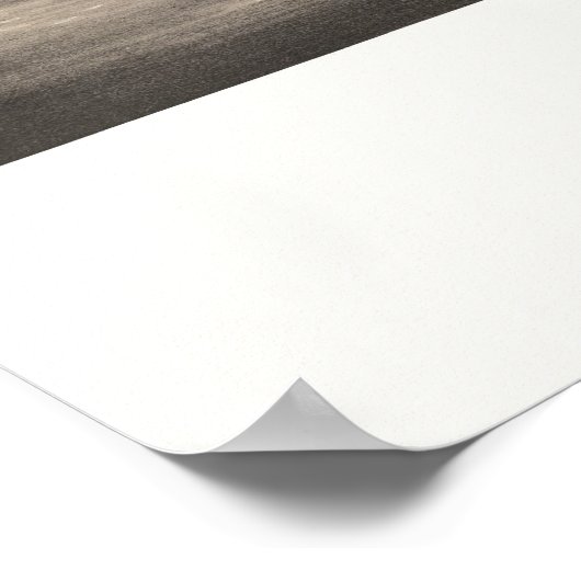 St. Louis, MO Panoramic Map - 1895 Poster (Hoek)