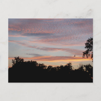 St. Louis Sunset Briefkaart