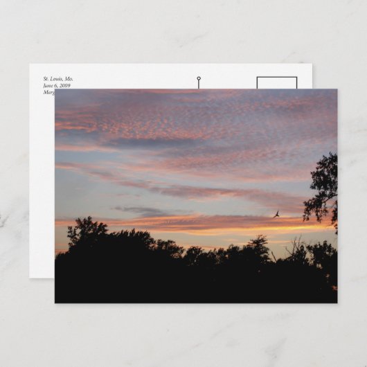 St. Louis Sunset Briefkaart (Voorkant / Achterkant)