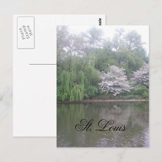 St. louis zoo briefkaart (Voorkant / Achterkant)