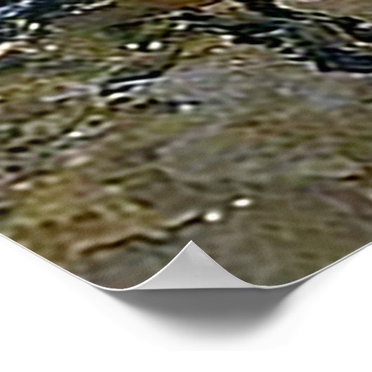 St Martin Canal Alfred Sisley Poster (Hoek)