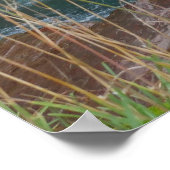 St. Mary Herfsten II Poster (Hoek)