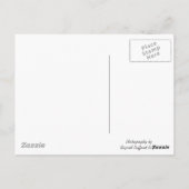 St. Mary of the Seven Sorrows Briefkaart (Achterkant)