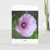 St. Mary's Church Kaart (Achterkant)