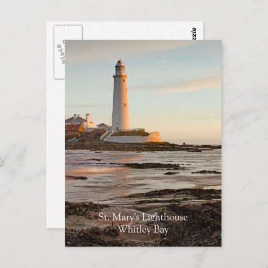 St Mary's Lighthouse England Briefkaart (Voorkant / Achterkant)