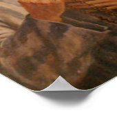 St Maximilian Kolbe Poster (Hoek)