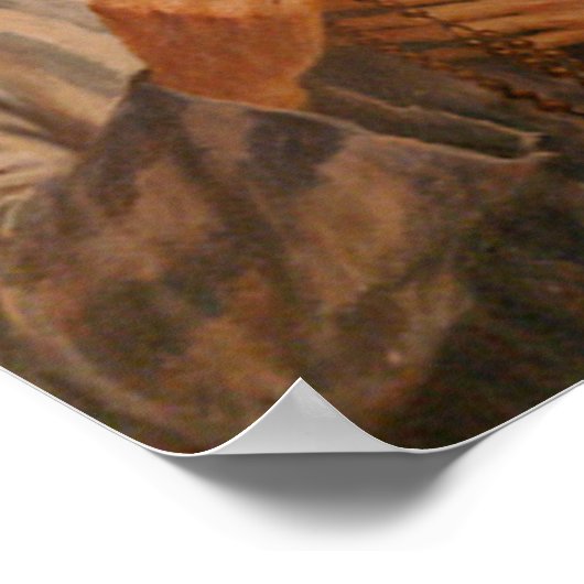 St Maximilian Kolbe Poster (Hoek)