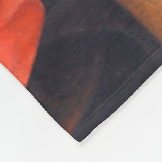 St Michael The Archangel Fleece Deken (Hoek)