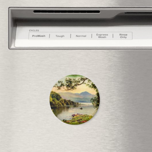  St. Paddy's bij het meer Magneet (Insitu (Vaatwasser))