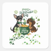 St Paddy's dag "Pawt van goud"  