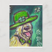 st paddys dag sir pieaten briefkaart (Voorkant)
