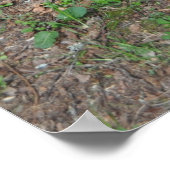 St. Pardoux fontaine Poster (Hoek)