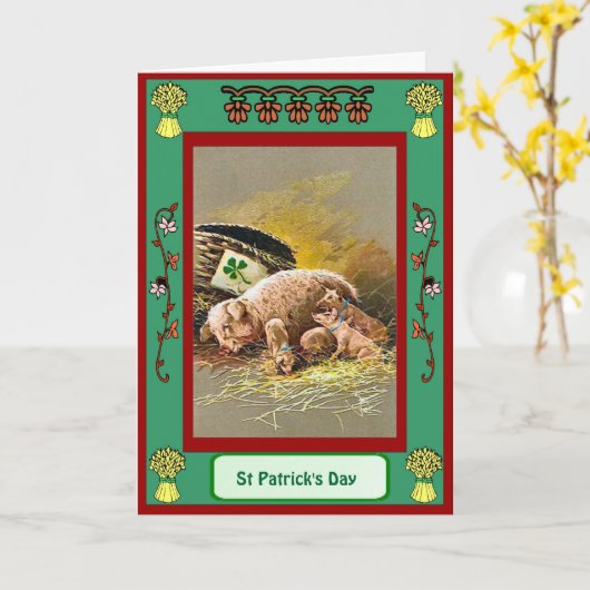 St Patrick dag, Draagstoel van varkens Kaart (Gele Bloem)